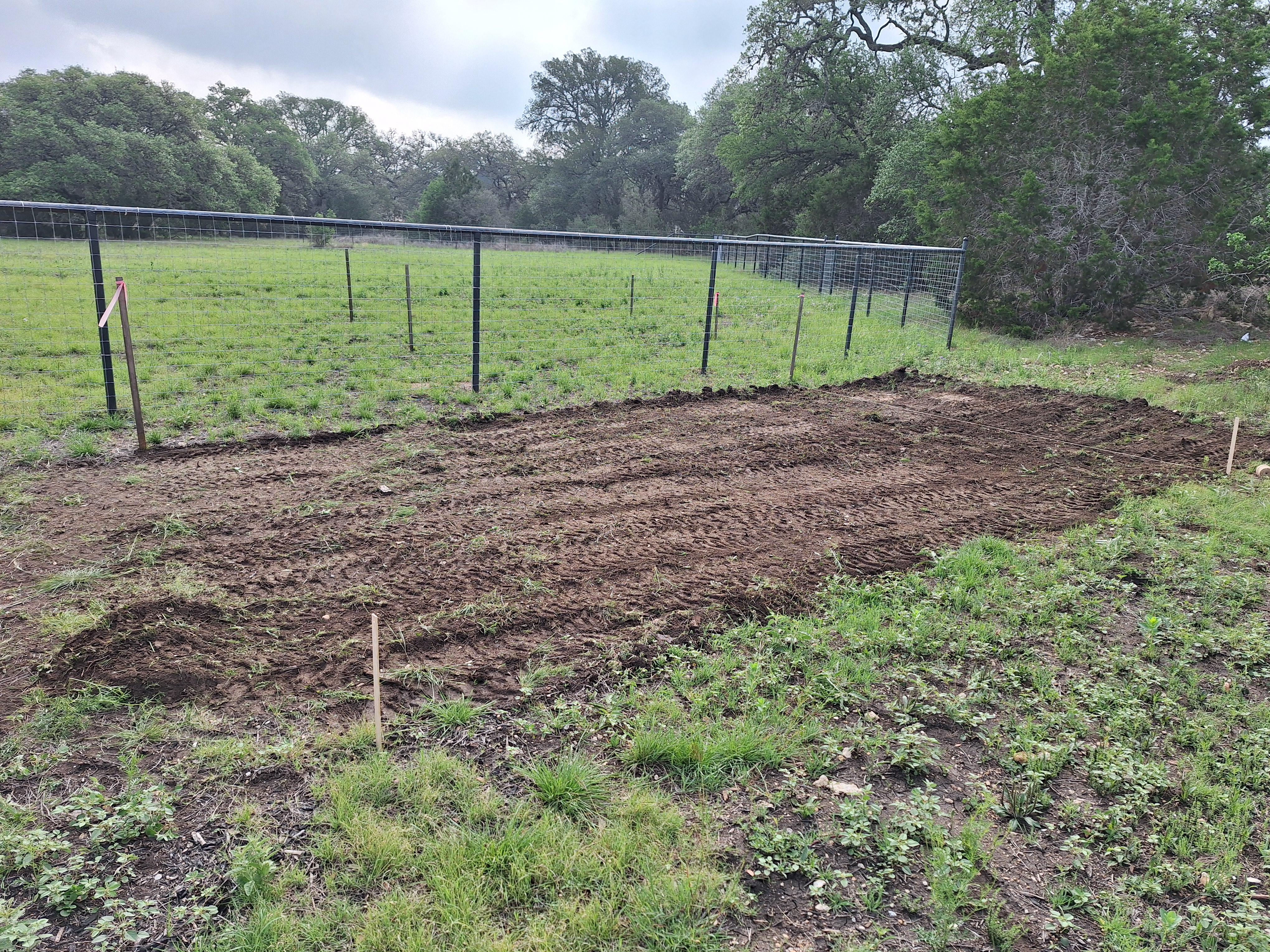 Clearing and initial cleanup