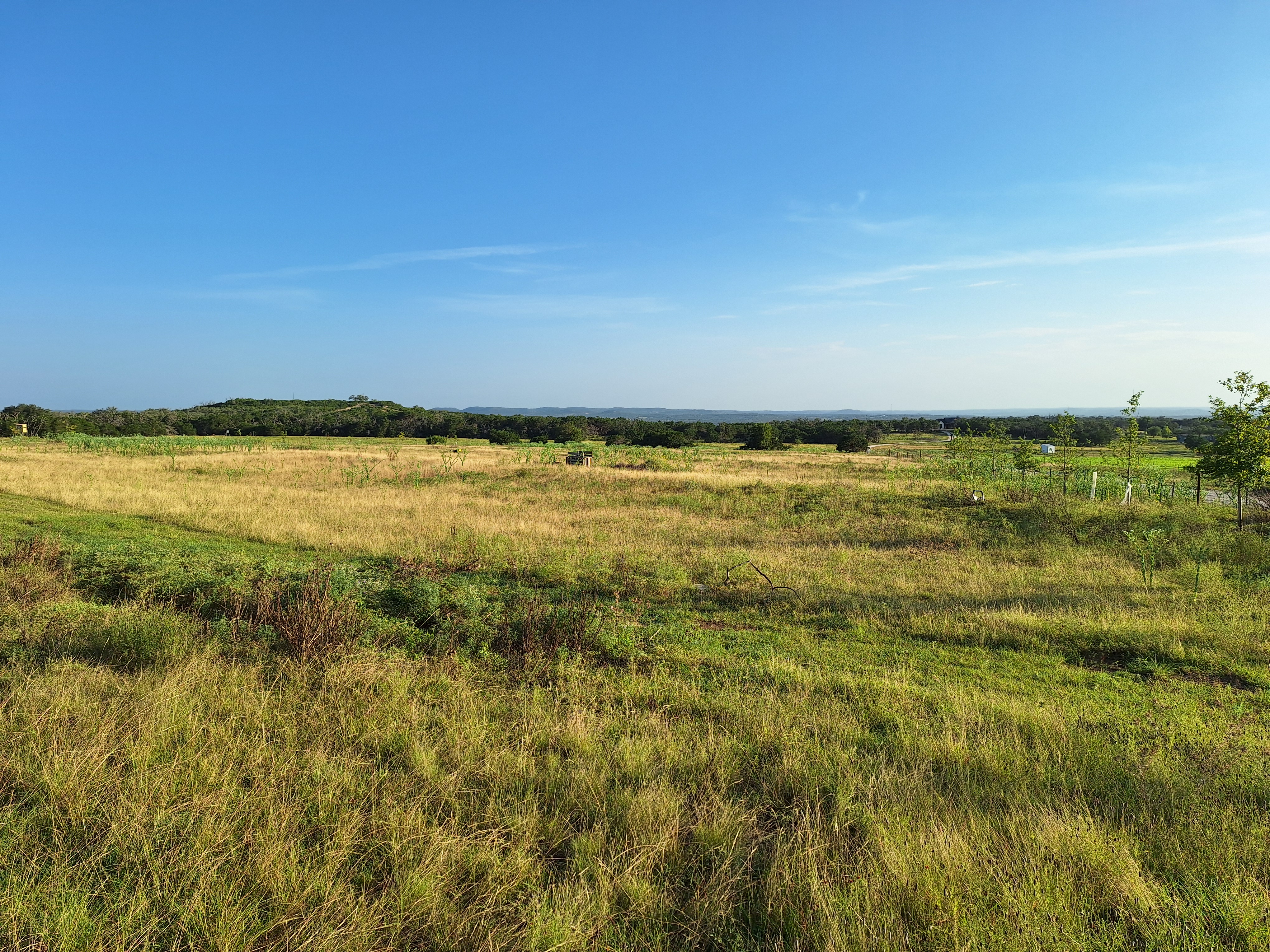 Before: Tall grass and overgrown pasture